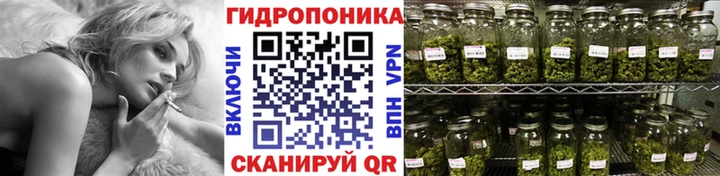 Купить наркотики цена Ногинск Конопля  Альфа ПВП  Гашиш  Галлюциногенные грибы  Кокаин 