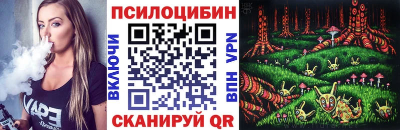 Псилоцибиновые грибы Psilocybe Ногинск