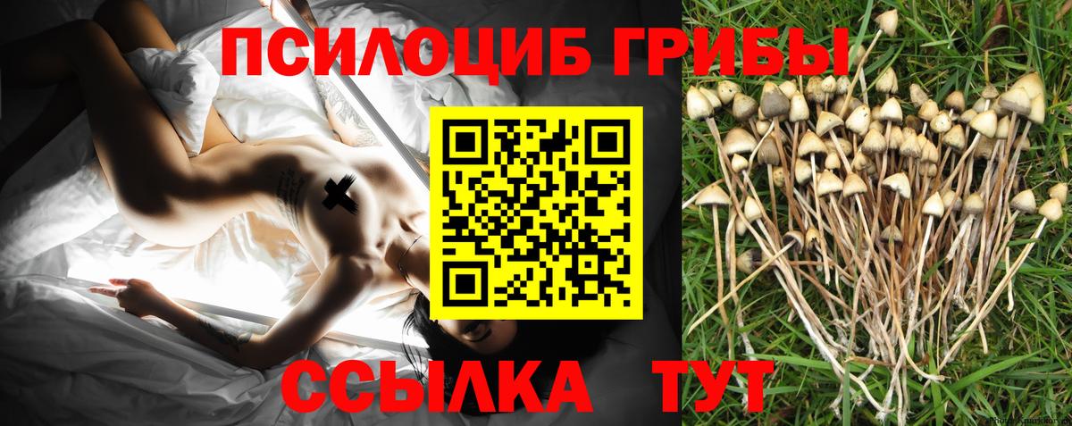 Галлюциногенные грибы MAGIC MUSHROOMS  Псилоцибиновые грибы Cubensis  Ногинск  Вход с VPN 