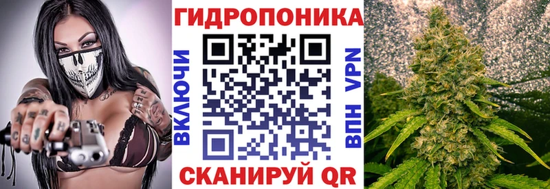 закладка  Ногинск  кракен tor  Каннабис AK-47 